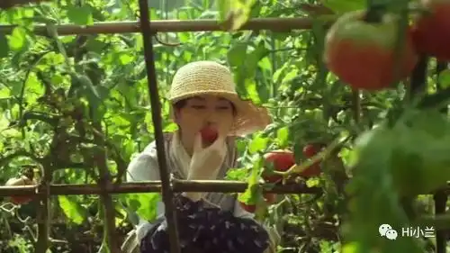 浮躁了吗不如看电影吧
