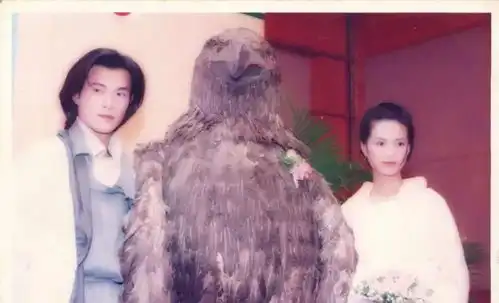 跟刘亦菲陈妍希们相比,她才是最正宗的小龙女吧

