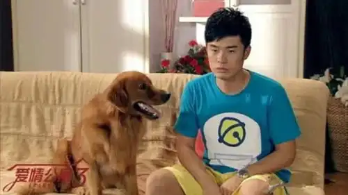 爱情公寓5明年三月拍,经历的电影事件,你还继续追吗