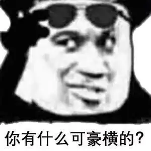 二胖表情包豪横