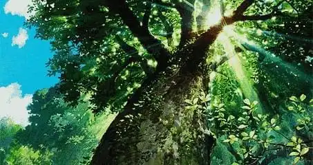 野外用火很危险森林防火,人人有责火灾灾害小常识森林网易订阅
