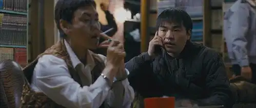 孤胆特工
