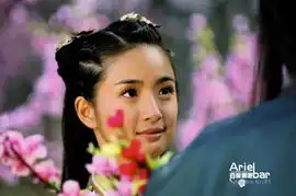 林依晨2008年08版射雕英雄传