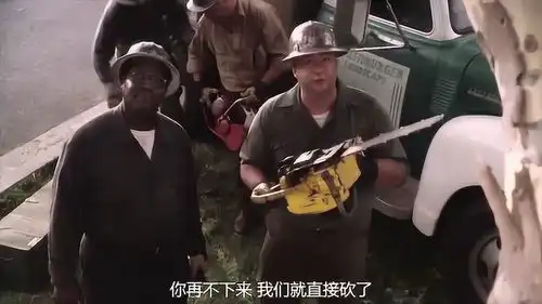 怦然心动朱莉爬到树梢,抱紧大树,她不想让工人把大树砍掉
