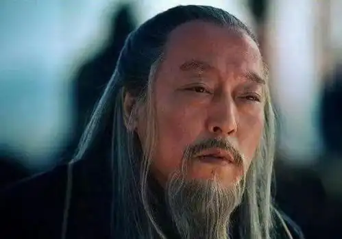 如果是诸葛亮死于落凤坡,庞统负责之后北伐,他打得赢司马懿吗
