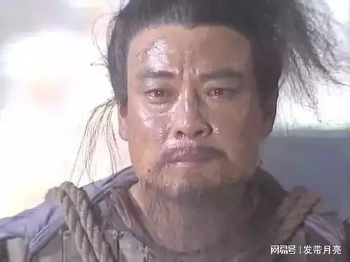 亲贤臣,远小人诸葛亮做到了吗全面分析他也是用人唯亲
