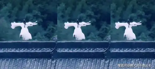 皓衣行又发新剧照,这磨人的剧什么时候能上