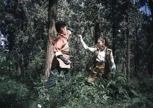 老九门番外之恒河杀树搜狗百科