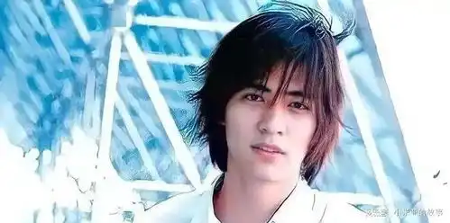 24年后再看流星花园,演员境况大不相同有人去世,有人入狱
