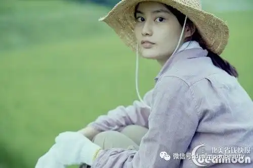 看不完的好电影最值得收藏的经典影片清单
