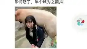战神归来,居然发现未婚妻背猪还债.....网络上超搞笑的沙雕图片第172期

