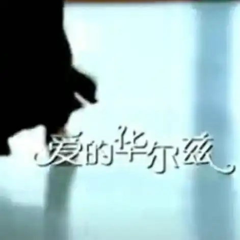 爱的华尔兹
