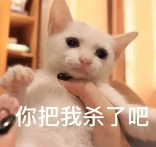 爱你的表情包图片表情