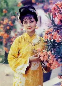 当年的薛宝钗如今亦是生意人
