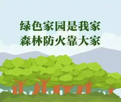 学习森林防火知识,保护森林资源安全
