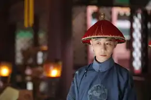 延禧攻略开启日更模式王茂蕾黑化复仇引热议