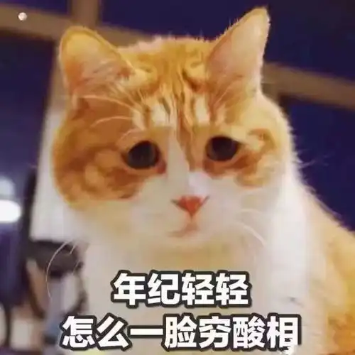 2017最后几天,愿你被温柔以待