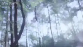 李一桐个人向鹤唳华亭陆文昔媚者无疆晚媚李诺颜子归