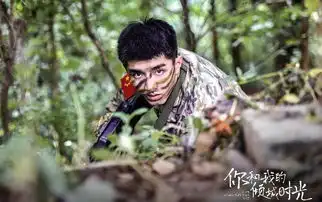 赵丽颖倾城时光曝最新剧照,军人世家金瀚是否你心中厉致诚