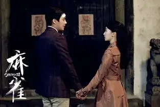 麻雀分集剧情介绍第2集毕忠良老谋深算
