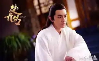 楚乔传楚乔真实身份是什么极乐阁是个什么地方