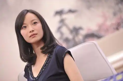 金陵十三钗

