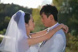 摇摆de婚约凡此种种闯情关
