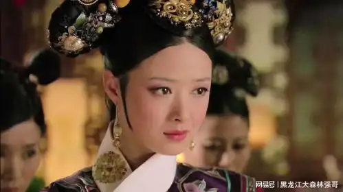 后宫宫斗正式开始华妃与甄嬛宫斗逐渐高潮
