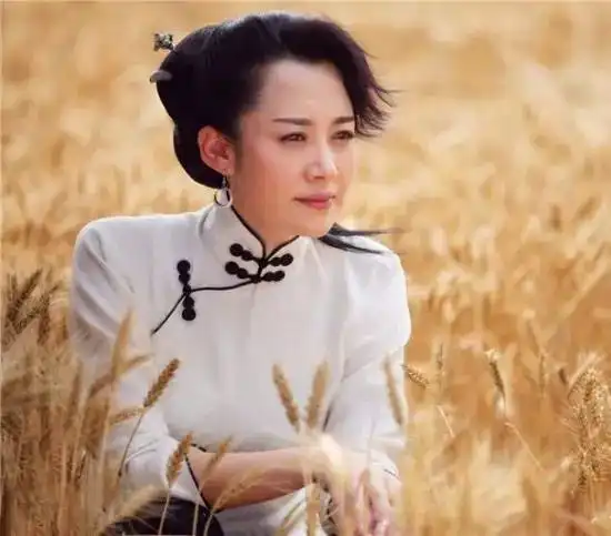 穿旗袍,看明星之许晴
