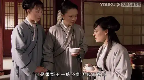 甄嬛传第53集槿汐舍身助甄嬛
