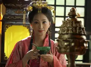 大唐女将樊梨花剧照
