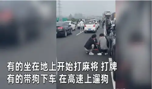 双节人称小春运,又双叒堵车啦,跳绳打牌遛狗吃饭,你还在路上吗