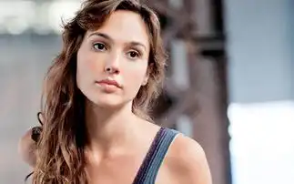 mlito视觉圣经galgadot
