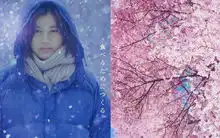 小森林剧照小树林