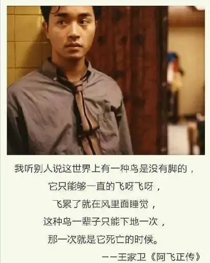 王家卫电影里那些耐人寻味的经典台词,你看过几部呢

