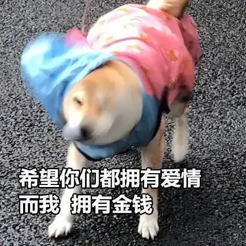 单身狗七夕节表情包单身