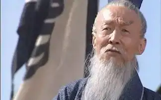 王朗汉魏之际经学家大臣搜狗百科
