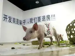 搞笑囧图

