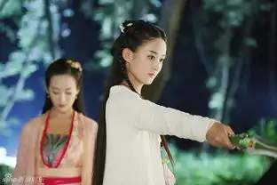 花千骨结局小骨失忆与白子画云游天下
