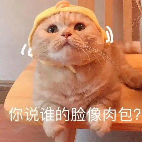 这些表情包送给假期长胖的你们