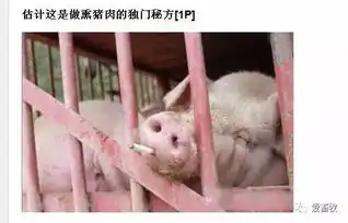 15张关于猪的爆笑图片,第一张我就没忍住