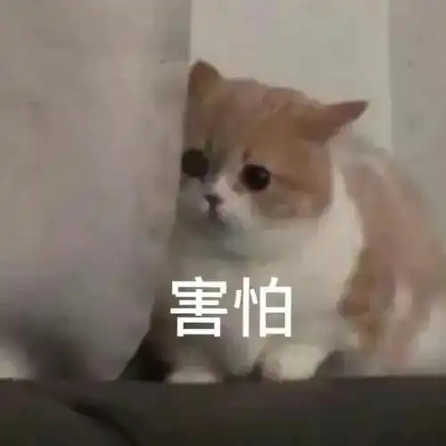 沙雕表情包有被气到,谢谢