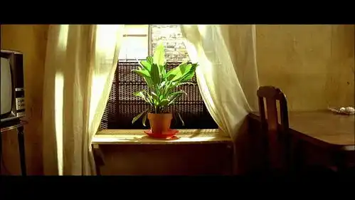 猜电影3
