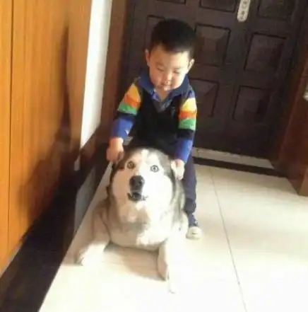搞笑gif段子多才多艺的大妈