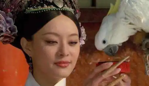 唐砖热播,云烨穿越到了大唐,太子李承乾是从甄嬛传穿越而来
