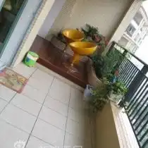 图片分享