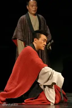 林兆华作品刺客4
