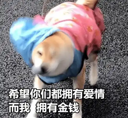 单身狗七夕节表情包单身