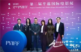 第二届平遥国际电影展恋恋不舍等三部影片让观众潸然泪下
