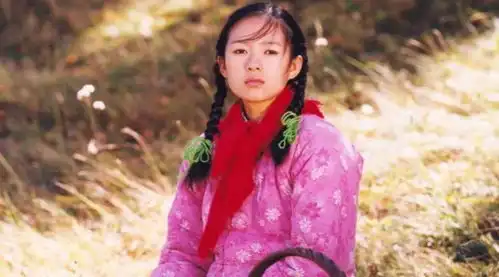 乡村爱情
